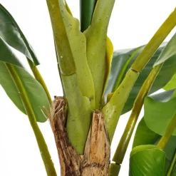 Agex