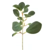 Dafa