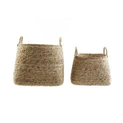 Teru